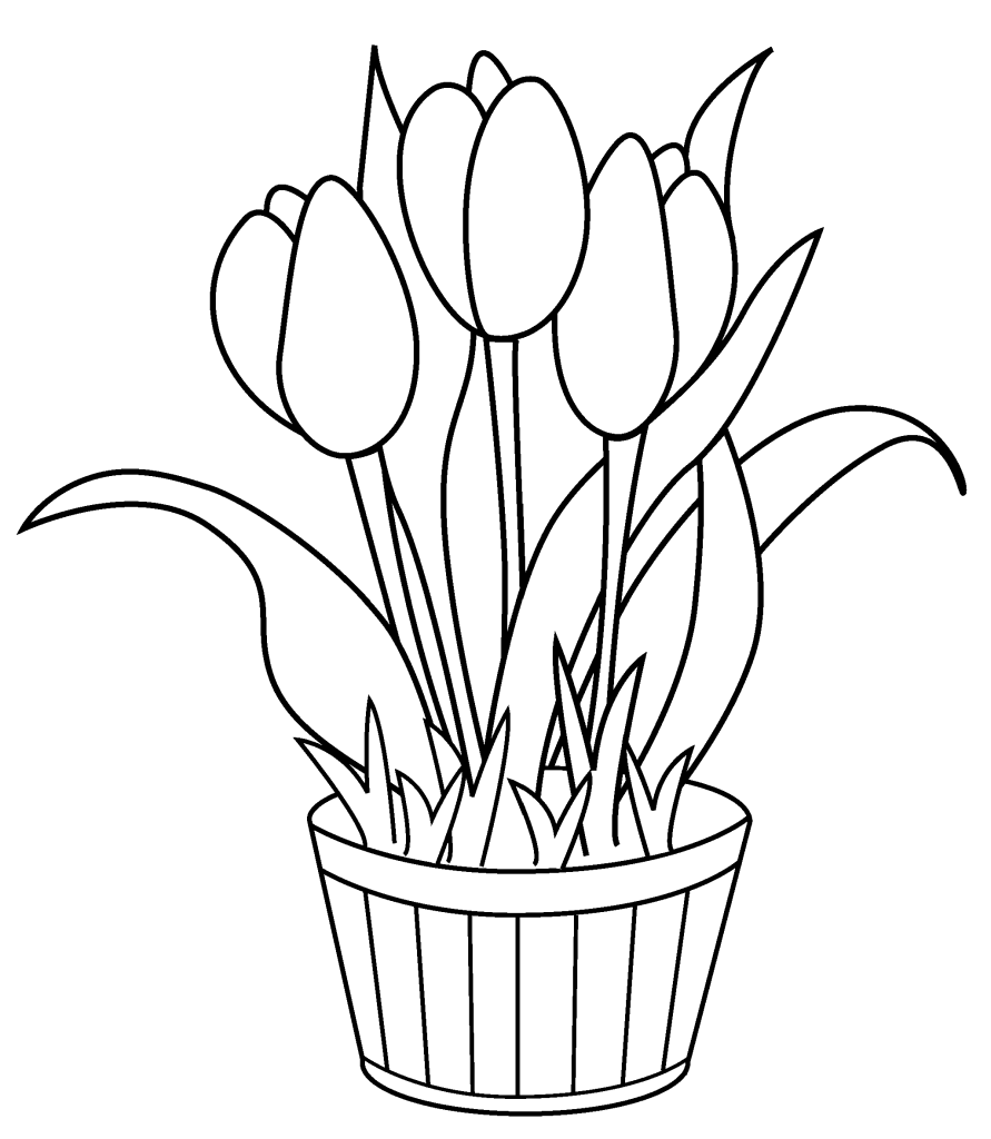 Tranh tô màu hoa Tulip
