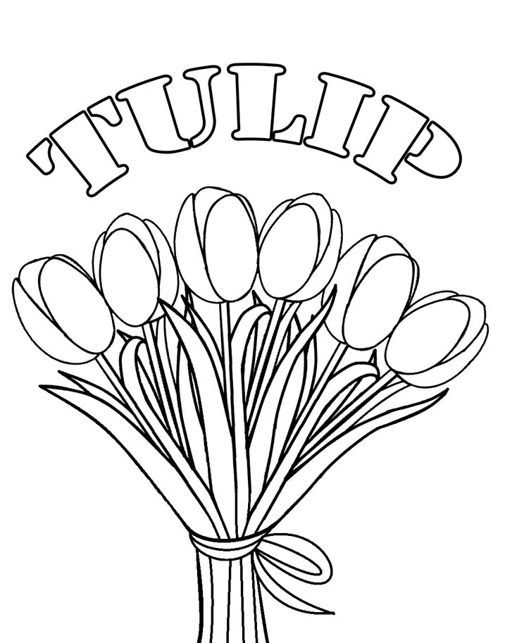 Tranh tô màu những bông hoa Tulip