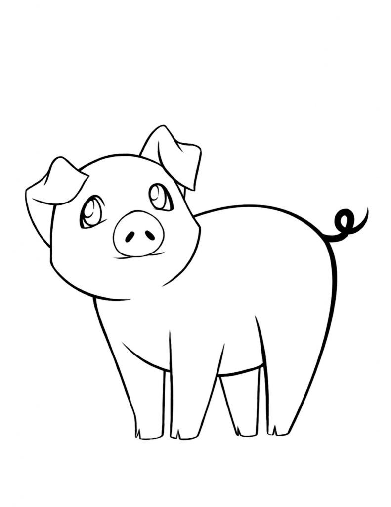 Top 1000 hình ảnh con lợn cute dễ thương đáng yêu nhất
