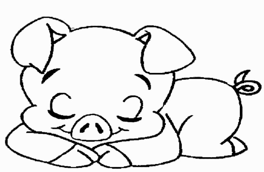Tranh tô màu con vật hình lợn con đang nằm ngủ