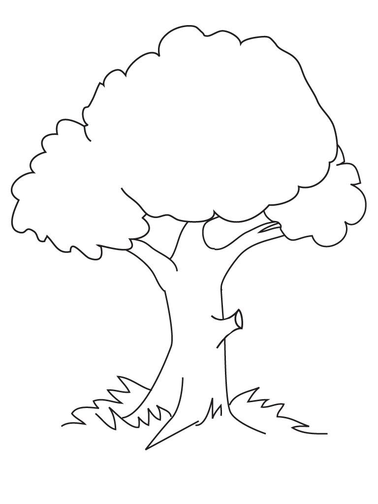 Coloring Pages Trees