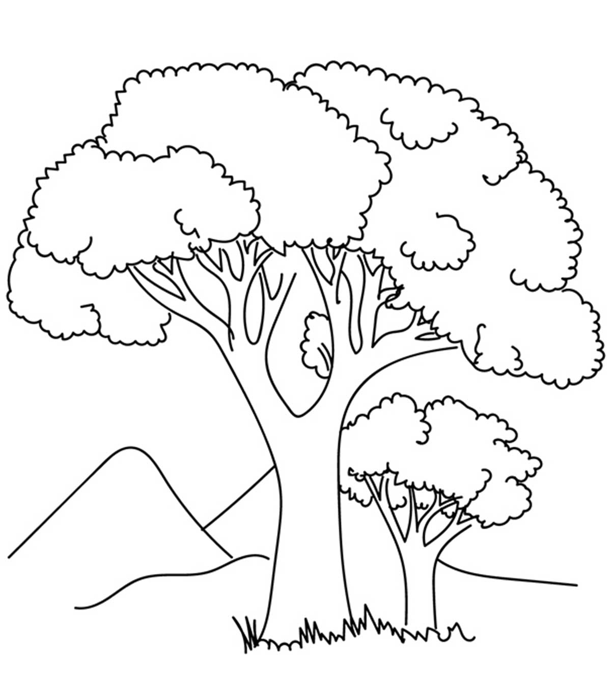 Cách vẽ cây xanh  How to draw a tree  YouTube
