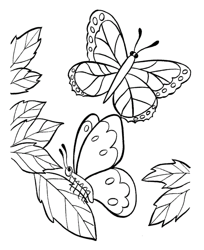 Mẫu tranh tô màu con bướm