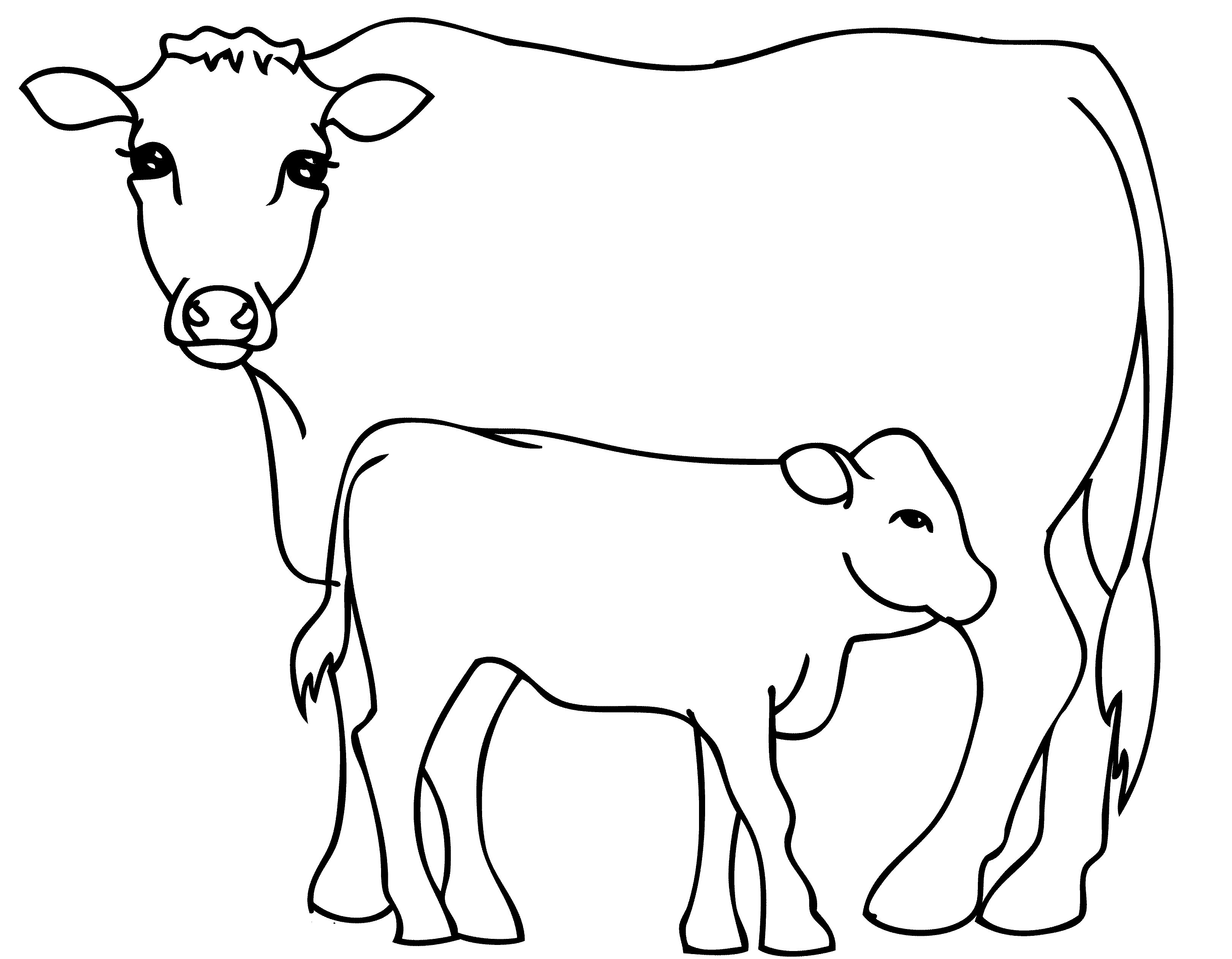 Tranh tô màu con bò và con bê