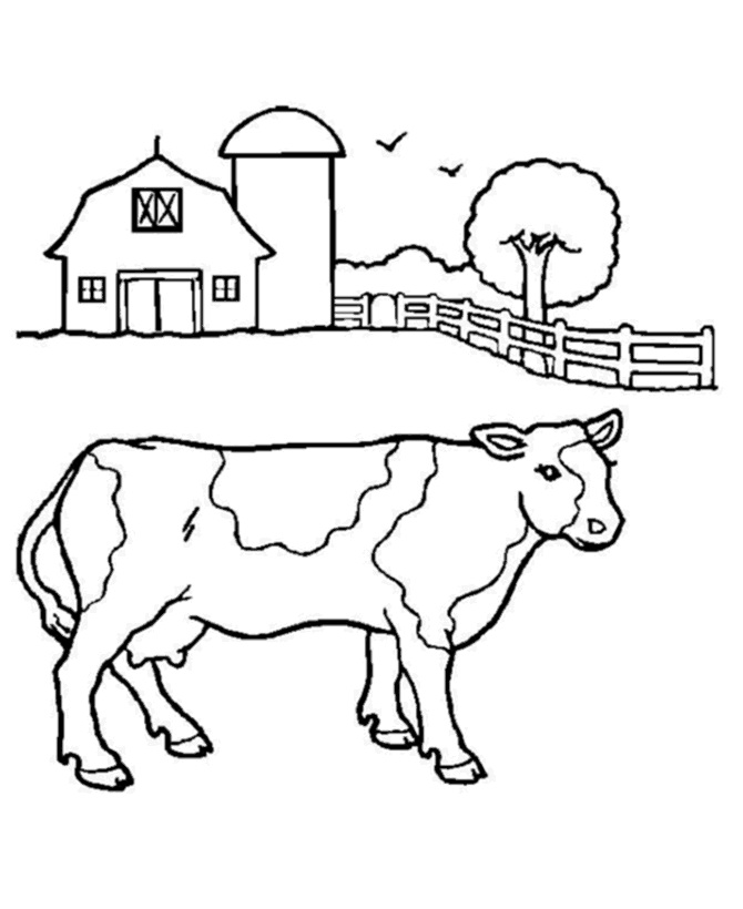 Tranh tô màu con bò và trang trại