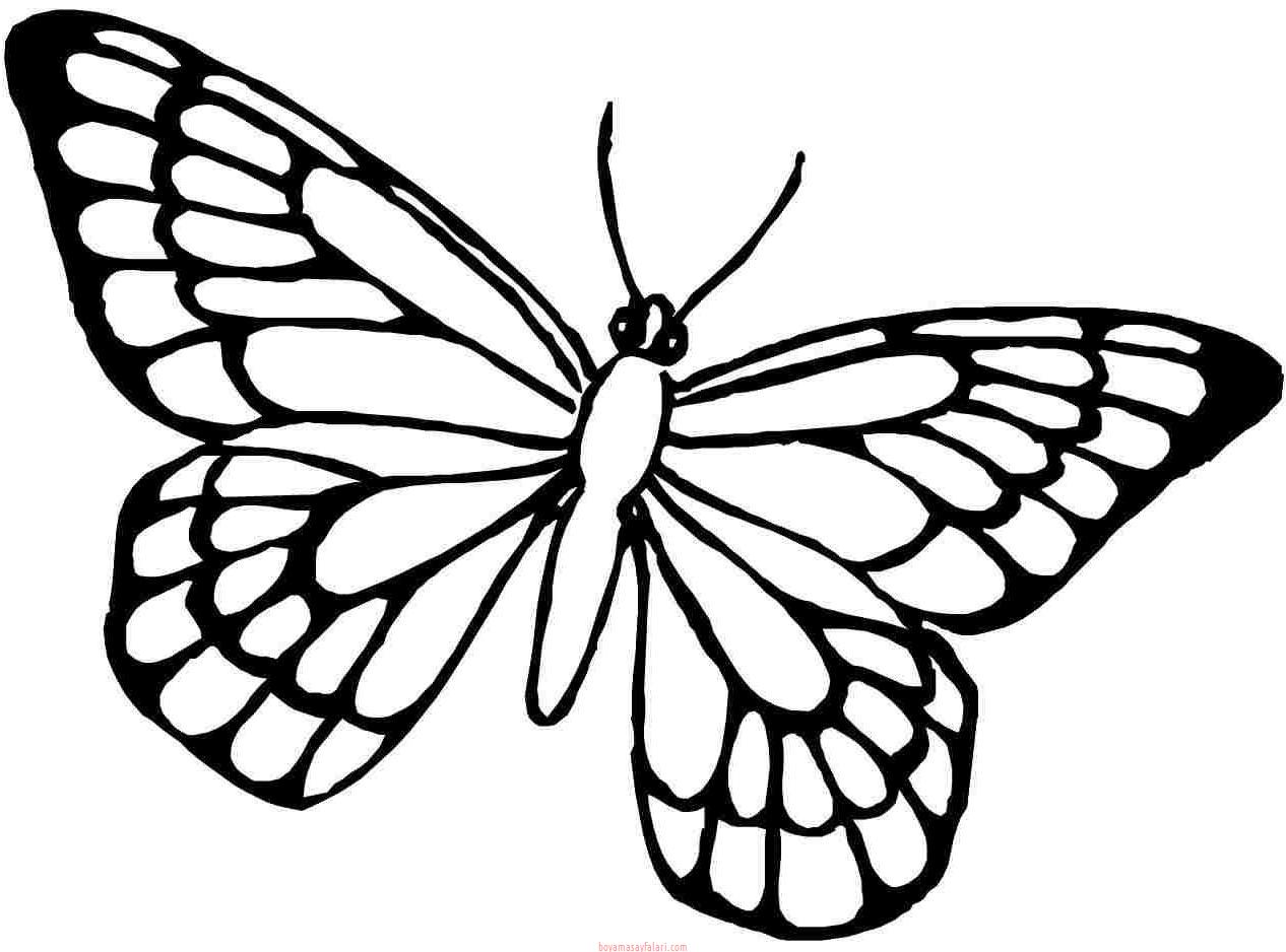Sưu tầm 699 tranh tô màu con bướm siêu đẹp mới nhất 2023  Cấp Nước Lào  Cai