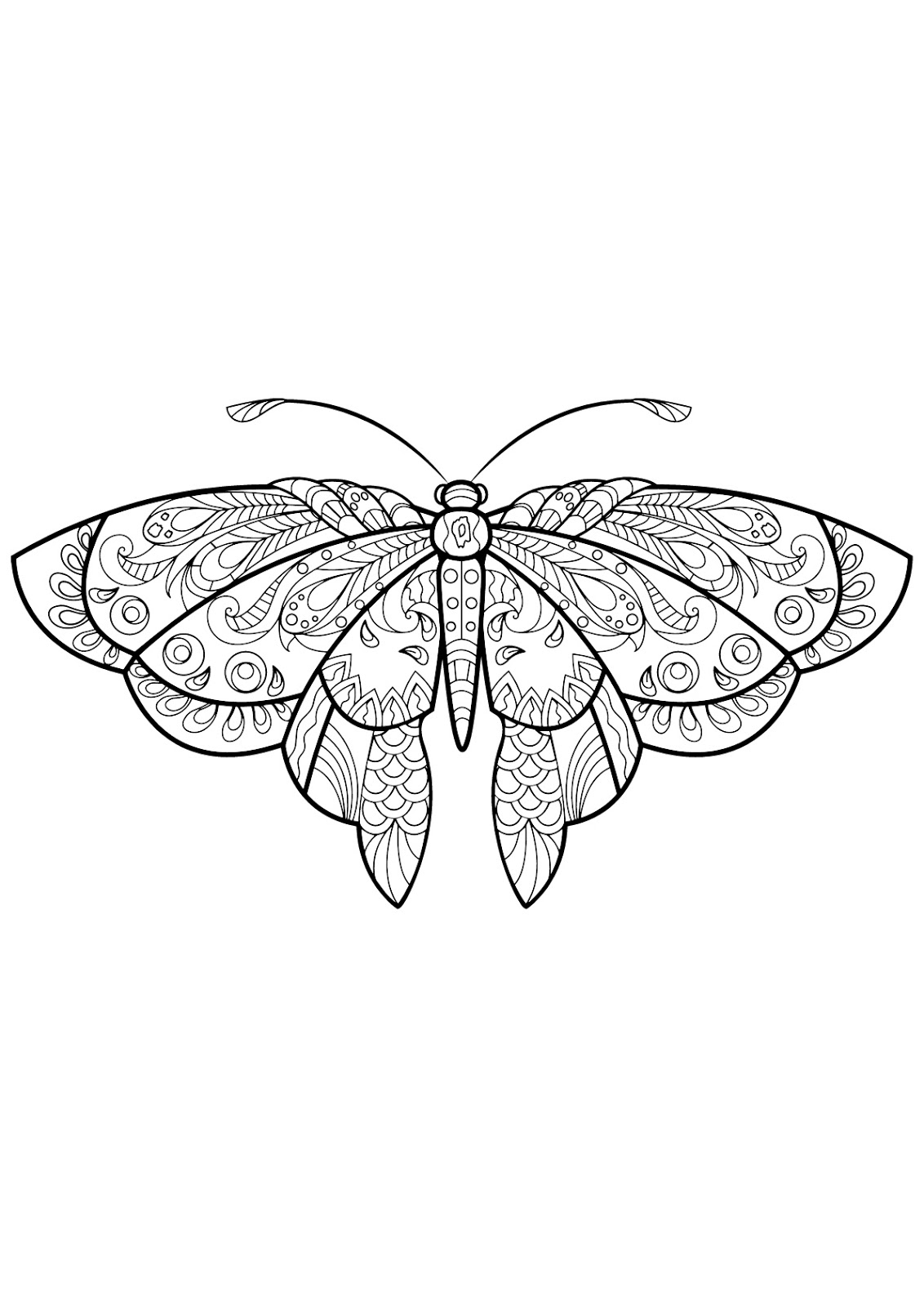 Tranh tô màu con bướm hoa văn cực đẹp
