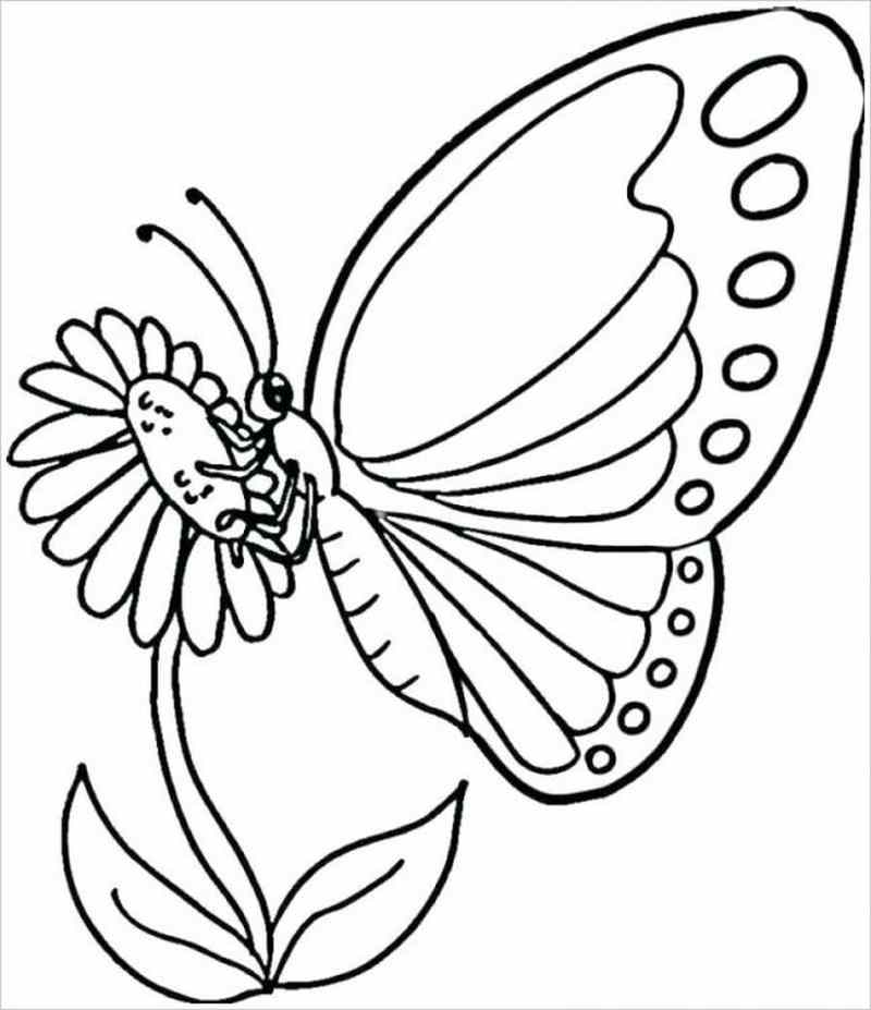 Tranh tô màu con bướm và bông hoa