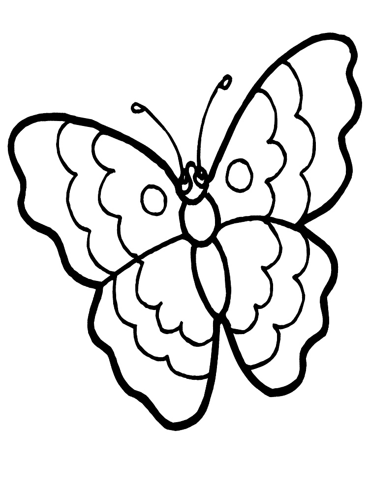 Tranh tô màu đơn giản hình con bướm