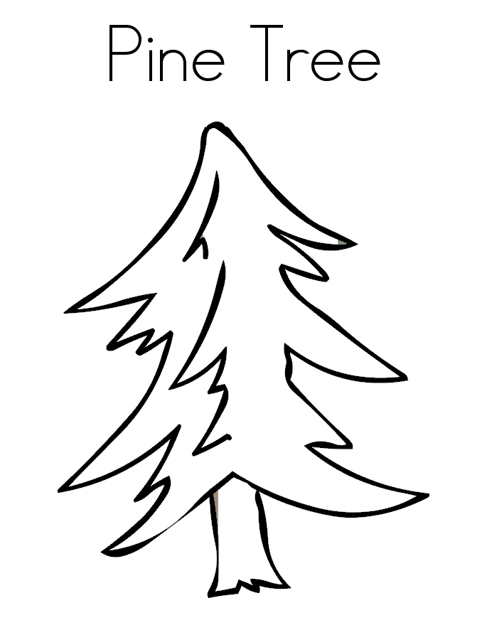 Pine Tree Coloring Pages