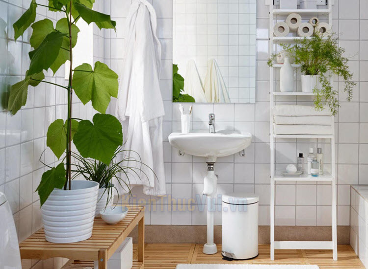Khu vực phòng tắm, nhà vệ sinh thường ẩm ướt là điều kiện cho vi khuẩn phát triển