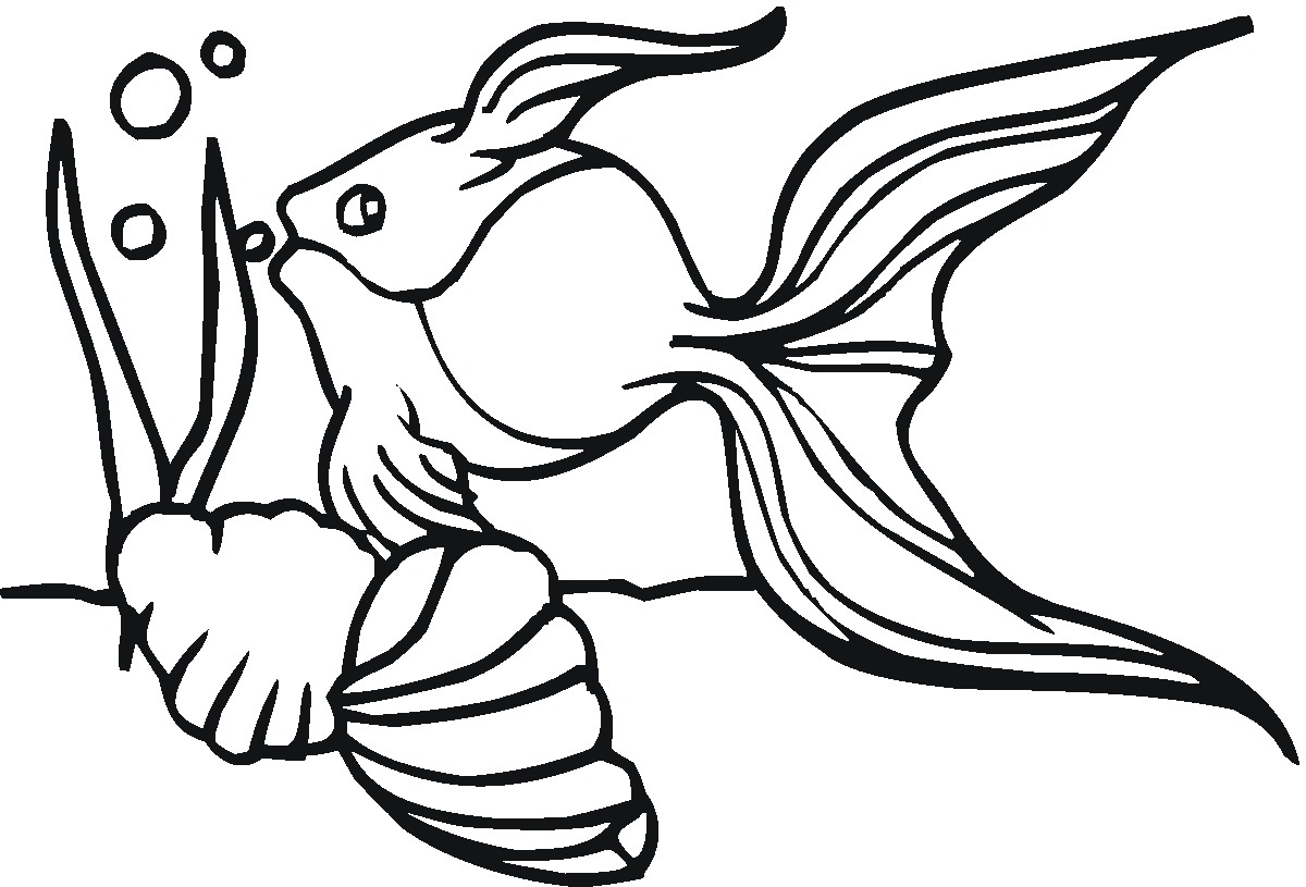 Goldfish Coloring Pages