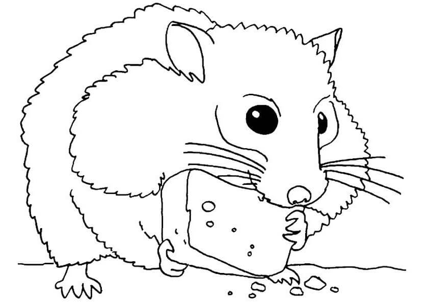 Tranh tô màu sắc con chuột Hamster ăn bánh