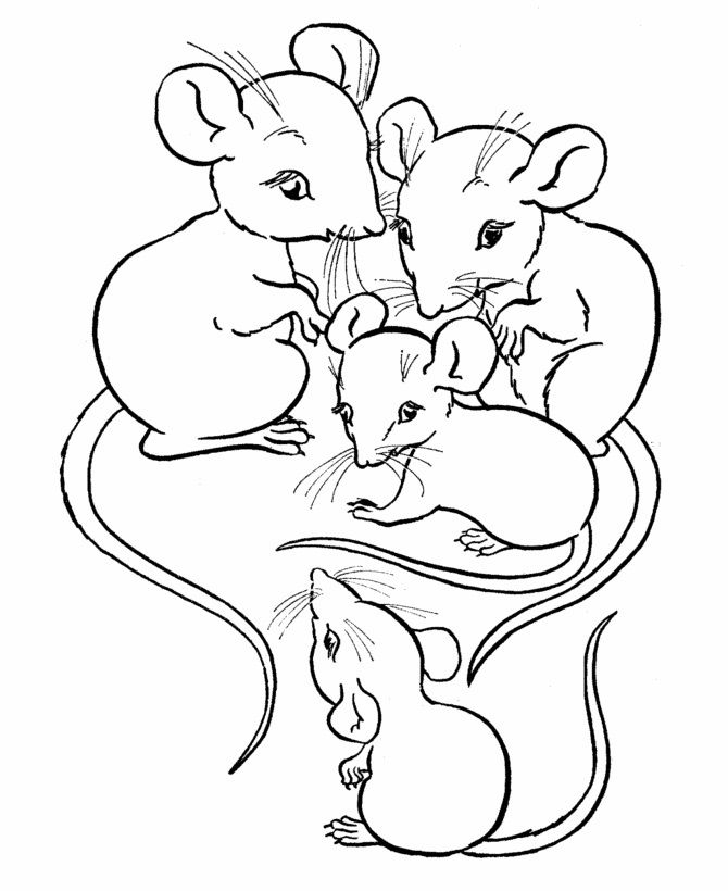 Tranh tô color đàn loài chuột 4 con
