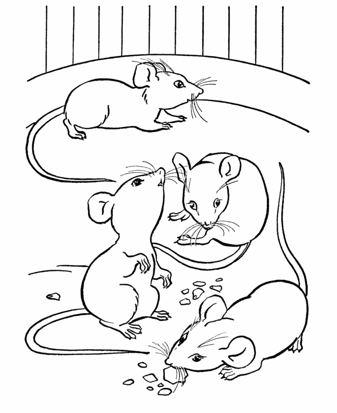 Tranh tô màu sắc đàn con chuột con cái đang được ăn