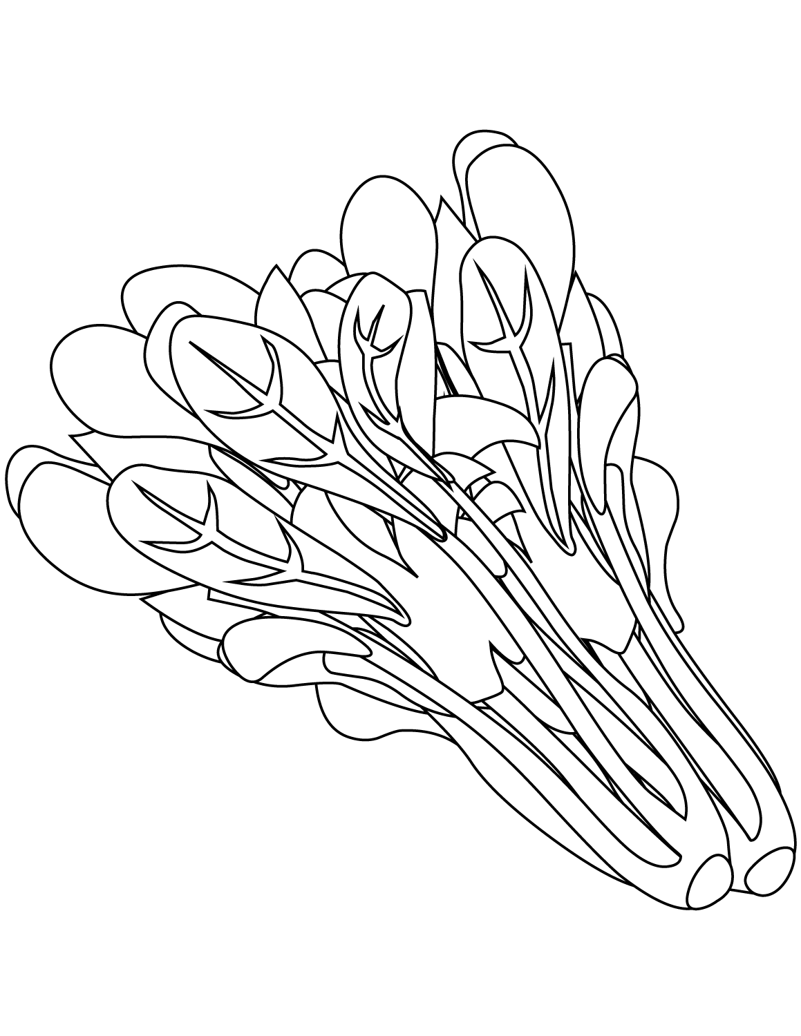Kỹ thuật vẽ cây rau cải cho buổi chiều tĩnh lặng