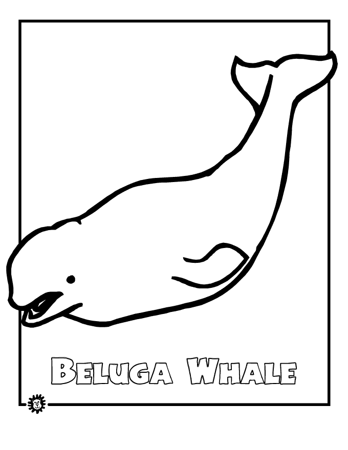 Tranh tô màu cá voi Beluga