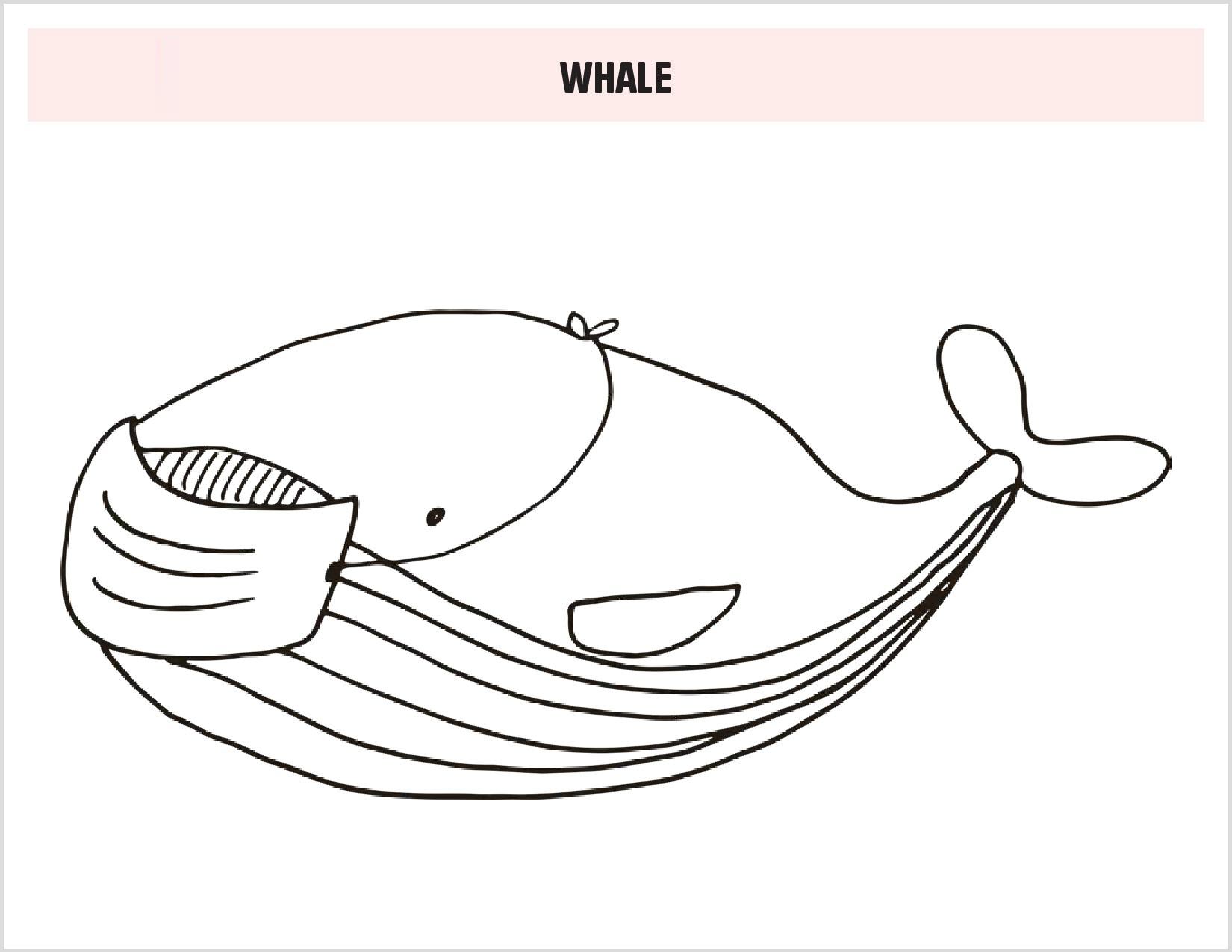 Tranh tô màu cá voi đẹp, hấp dẫn nhất