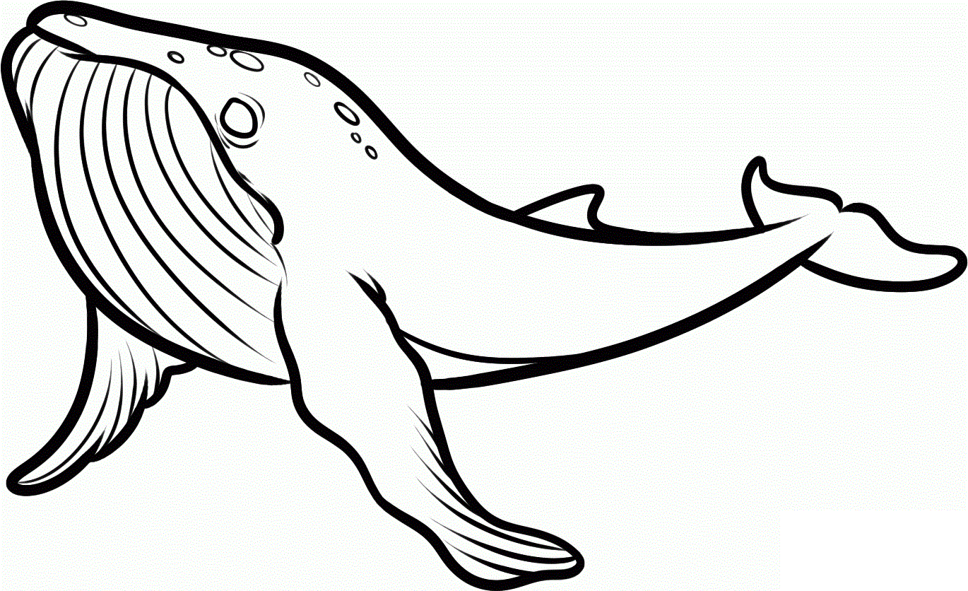Tranh tô màu cá voi đơn giản, sắc nét