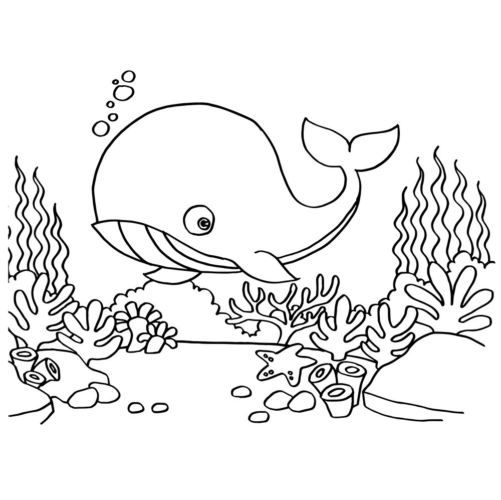 Tranh tô màu cá voi hoạt hình