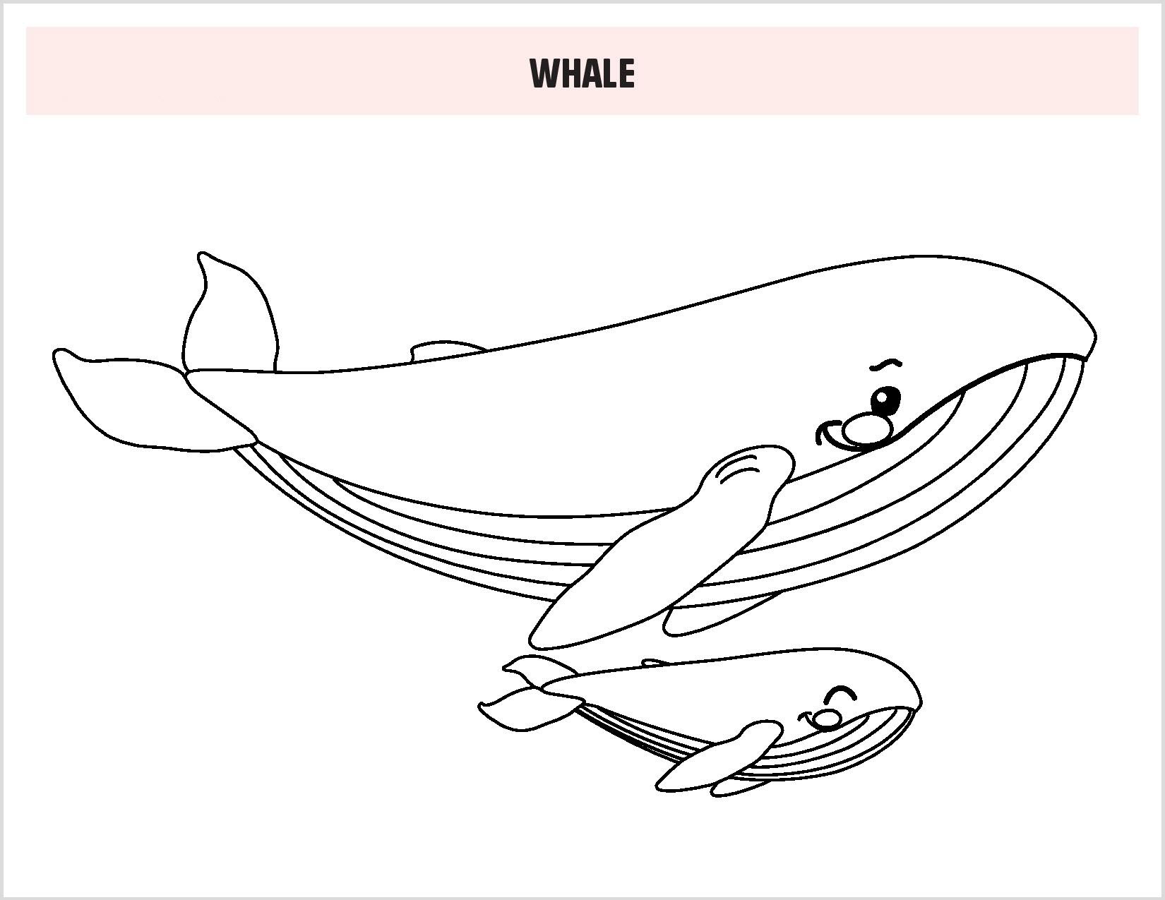 Tranh tô màu chủ đề cá voi cho bé