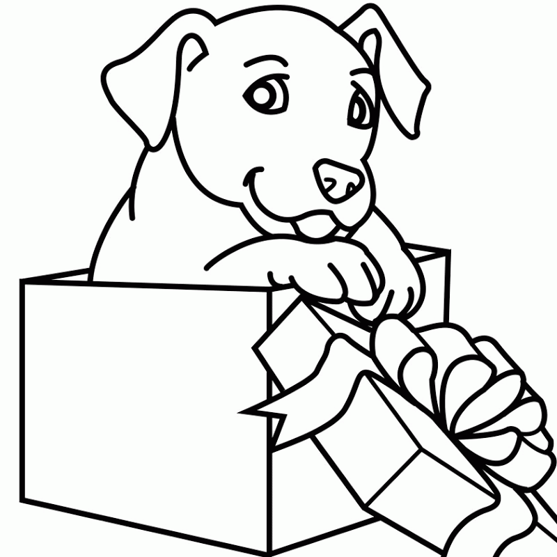 Tranh tô màu con chó trong hộp quà