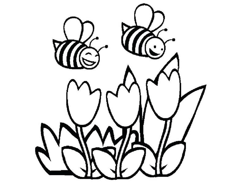 Vẽ con Ong cute đáng yêu  How To Draw A Cute Bee  Draw Animals 7   YouTube
