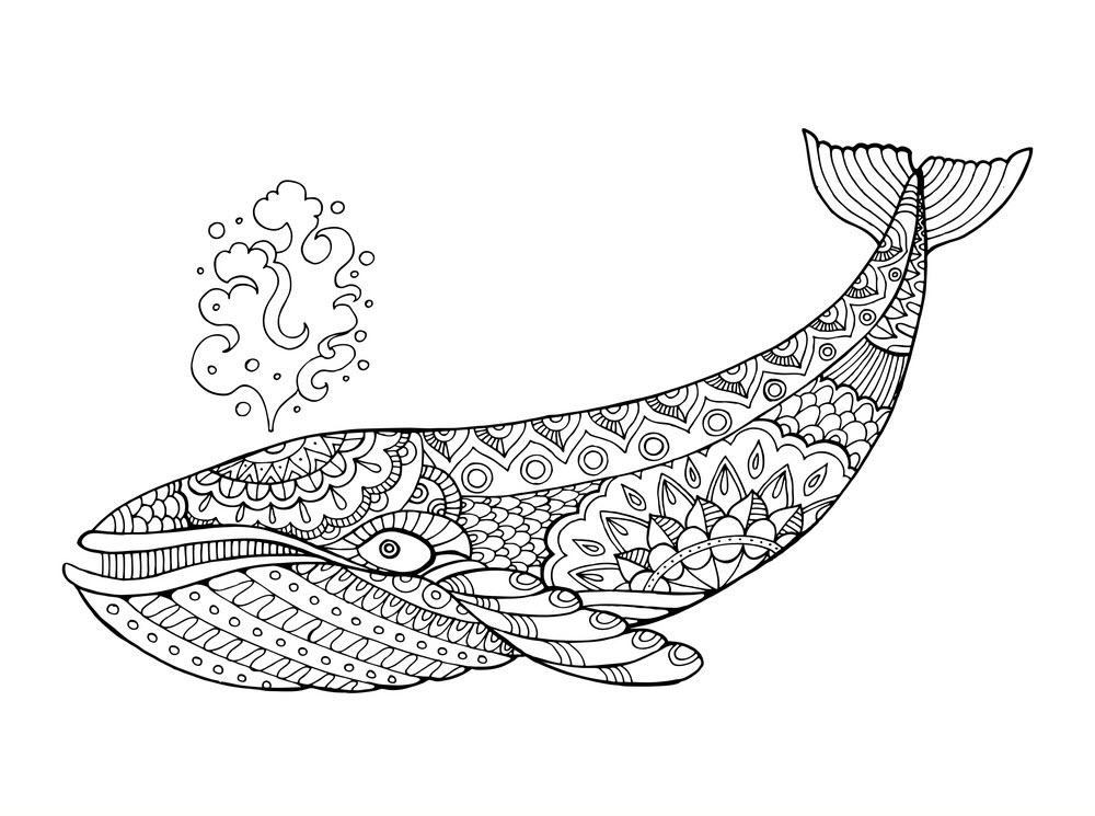 Trang màu cá voi