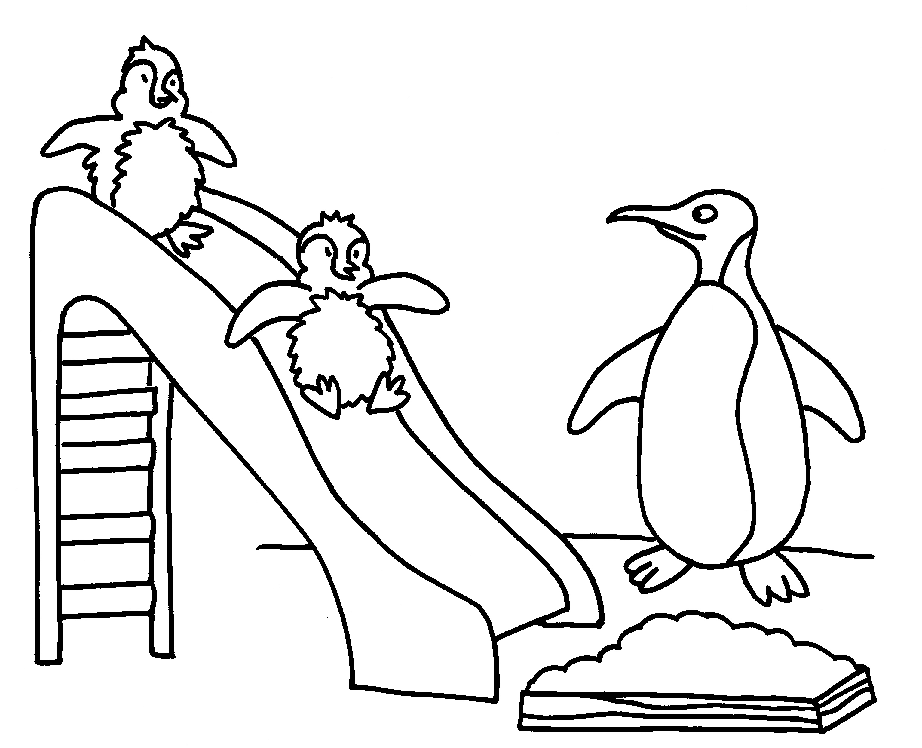 Tranh tô màu sắc con cái chim cánh cụt