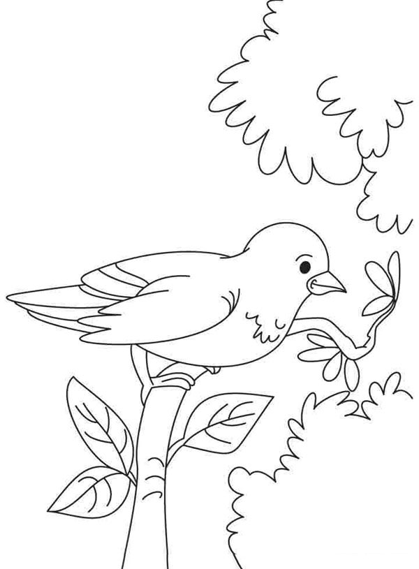 Tranh tô màu sắc con cái chim đậu bên trên cành cây