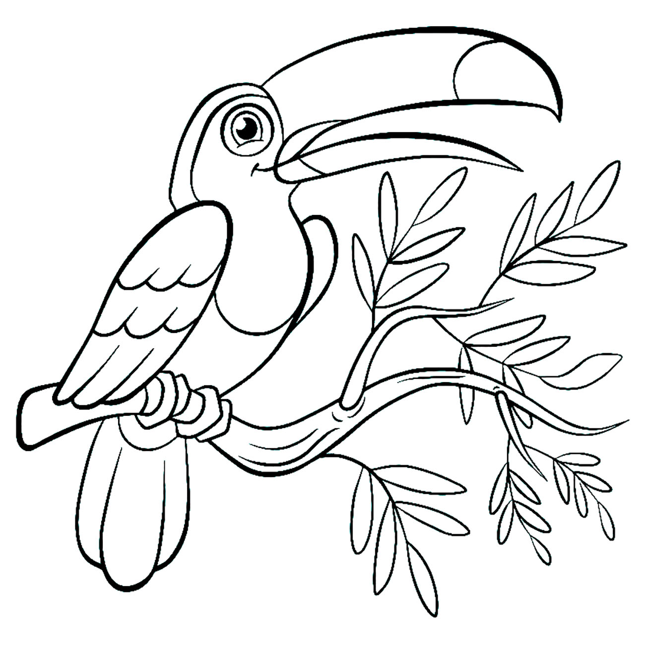 Cách vẽ con vẹt đơn giản với 9 bước cơ bản hướng dẫn chi tiết