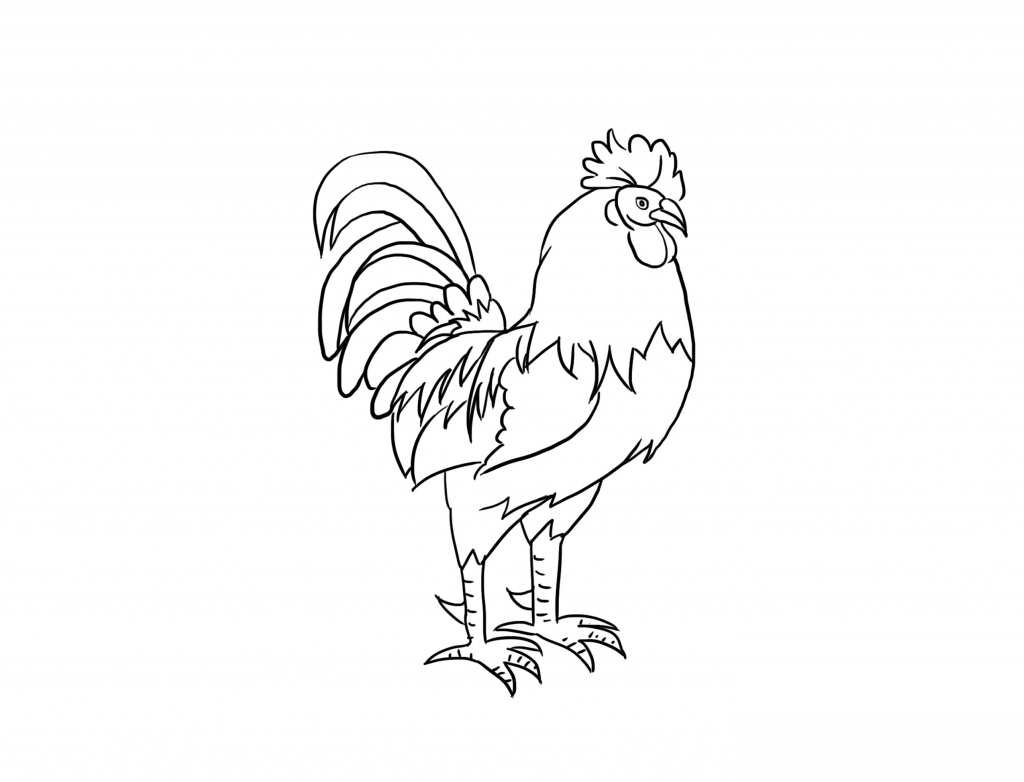 Mẫu tranh tô màu con gà trống đơn giản