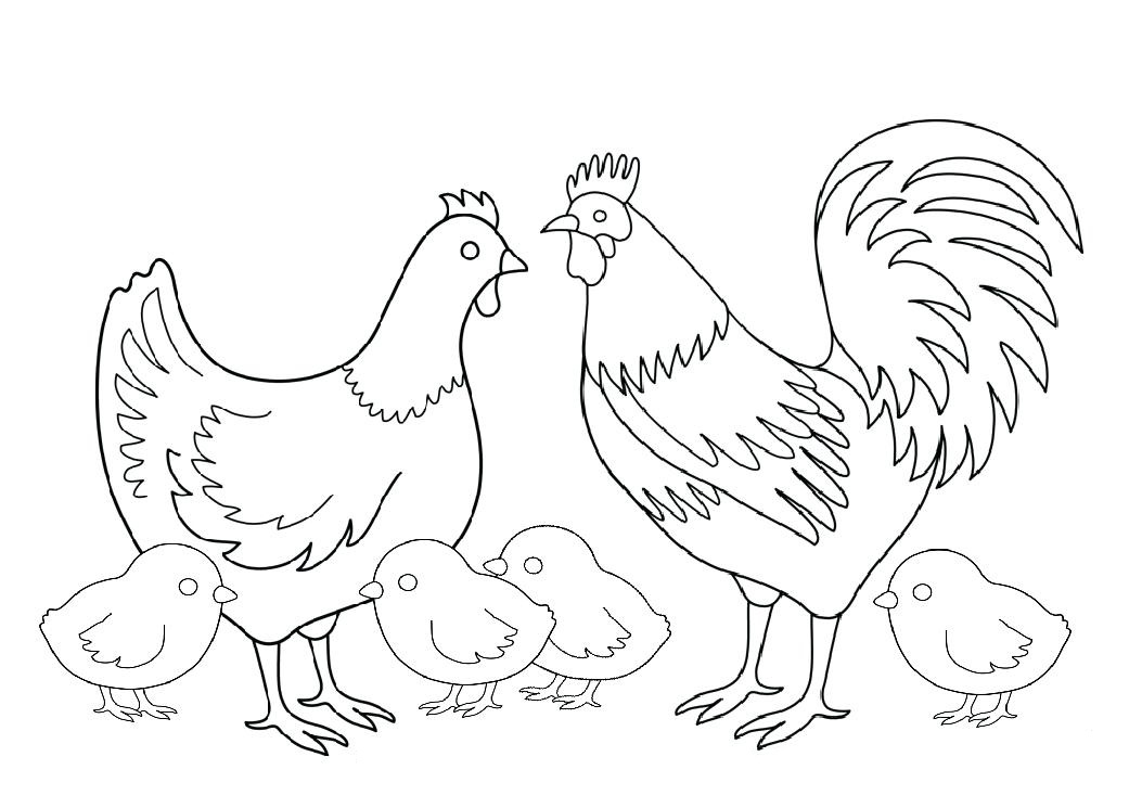 Tranh tô màu gà trống, gà mái và đàn gà con