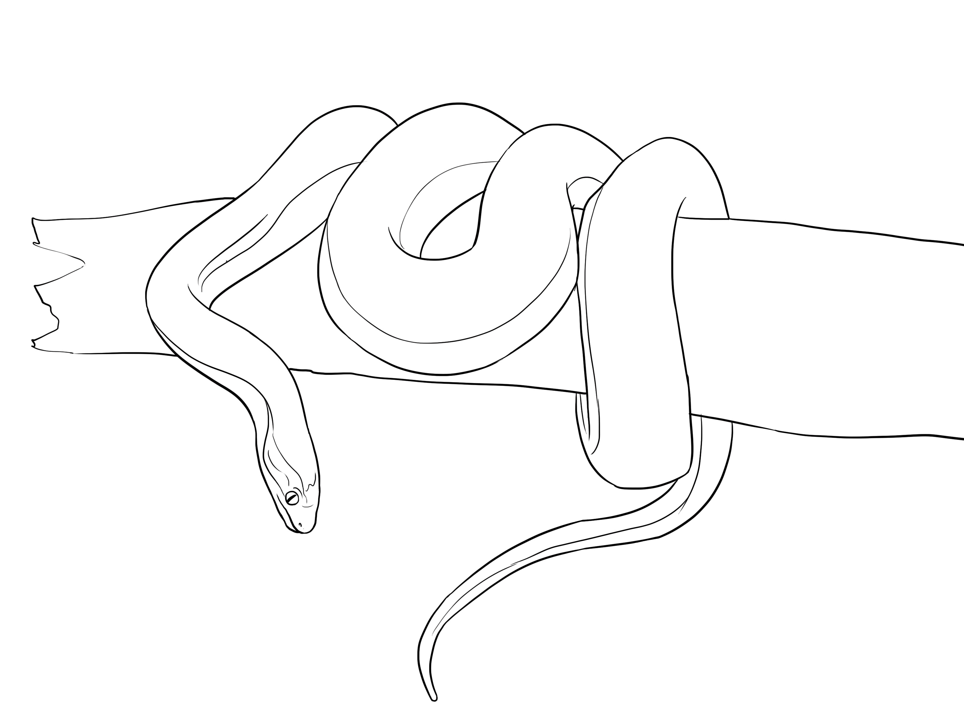 Tranh tô màu con rắn cho bé