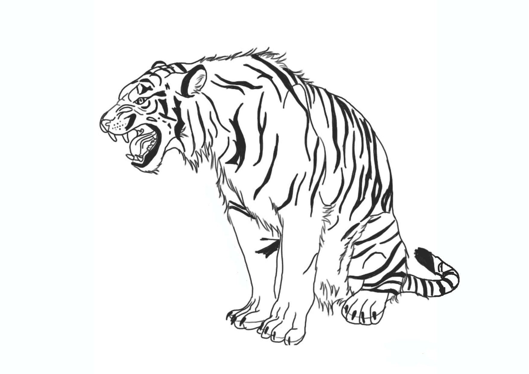 Tranh tô màu con hổ đang ngồi