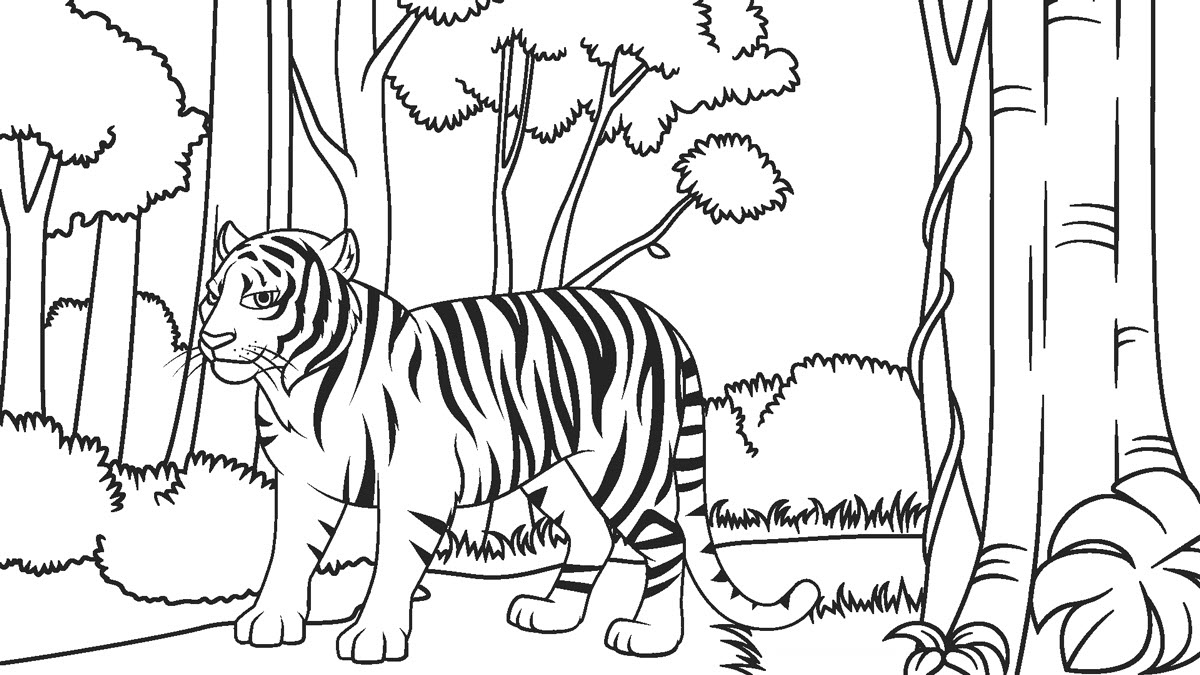 Tranh tô màu con hổ trong rừng xanh
