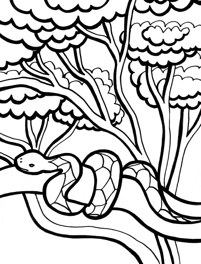 Tranh tô màu con rắn trên cành cây