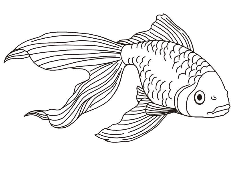 Hình tô màu con cá vàng
