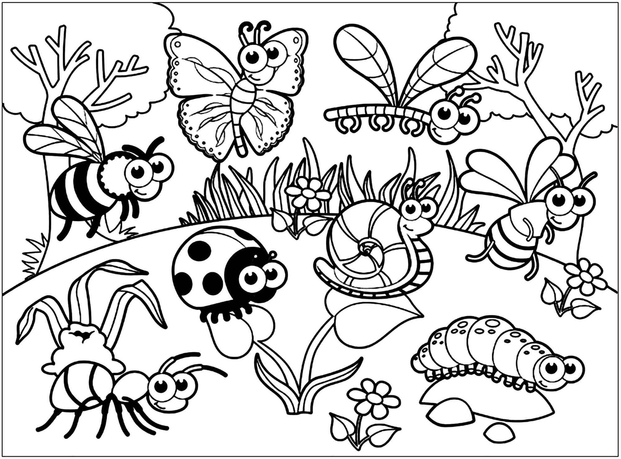 Tranh tô màu chuồn chuồn và các loài côn trùng khác