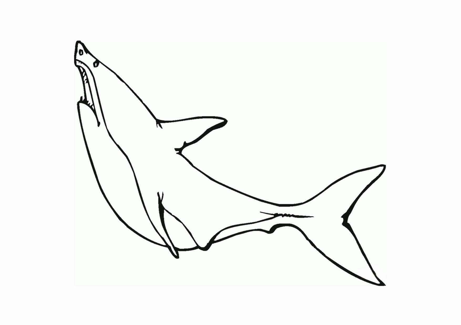 Hình tô màu con cá mập đơn giản