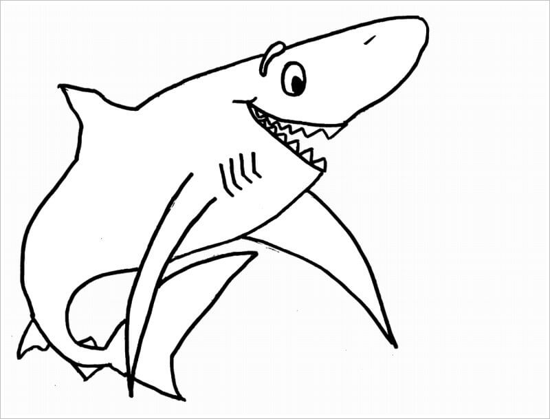 Hình vẽ loài cá mập ko tô màu