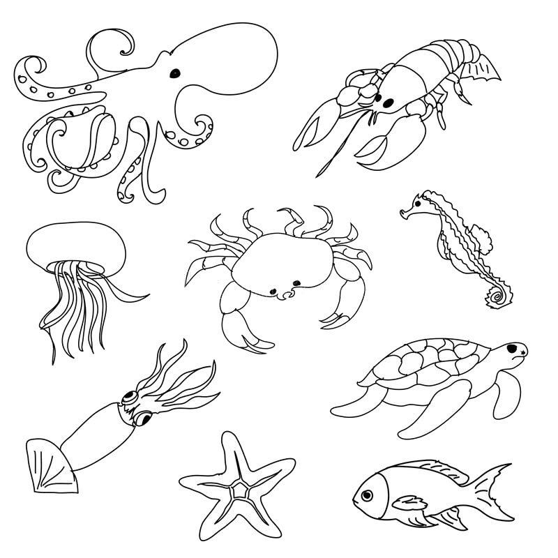 Mẫu tranh tô màu động vật sống dưới nước đơn giản