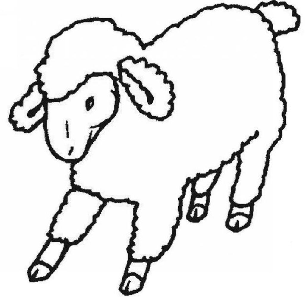 Tranh tập tô hình con cừu cho bé