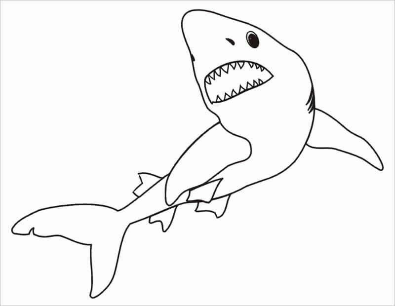 Tranh tô màu cá mập dành cho bé tập tô