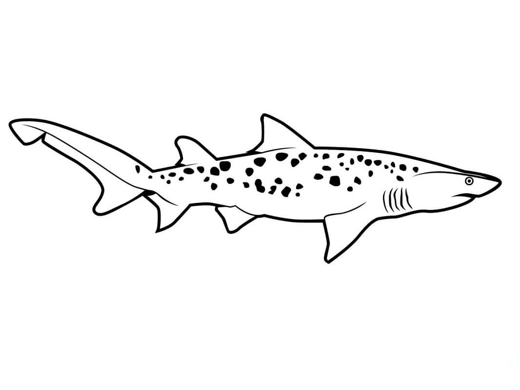 Tranh tô màu con cá mập hổ cáp
