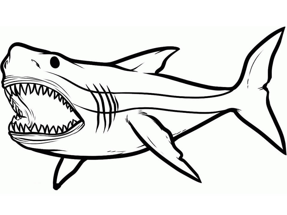 Tranh tô màu sắc loài cá mập white khổng lồ