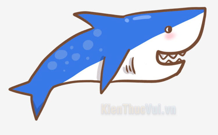 Cách vẽ cá mập cute với 5 bước đơn giản  Góc Yêu Bé