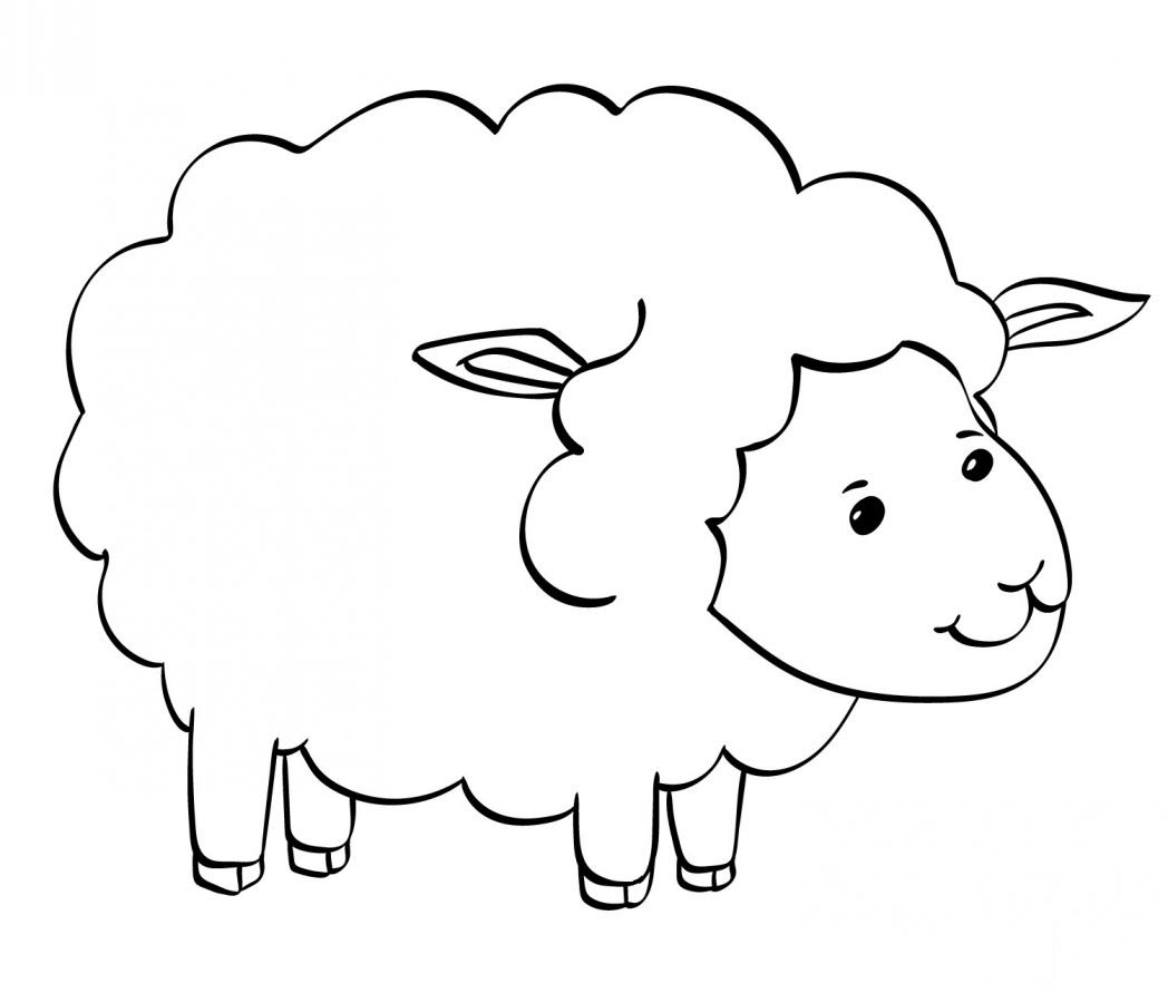 Tranh tô màu con cừu đơn giản