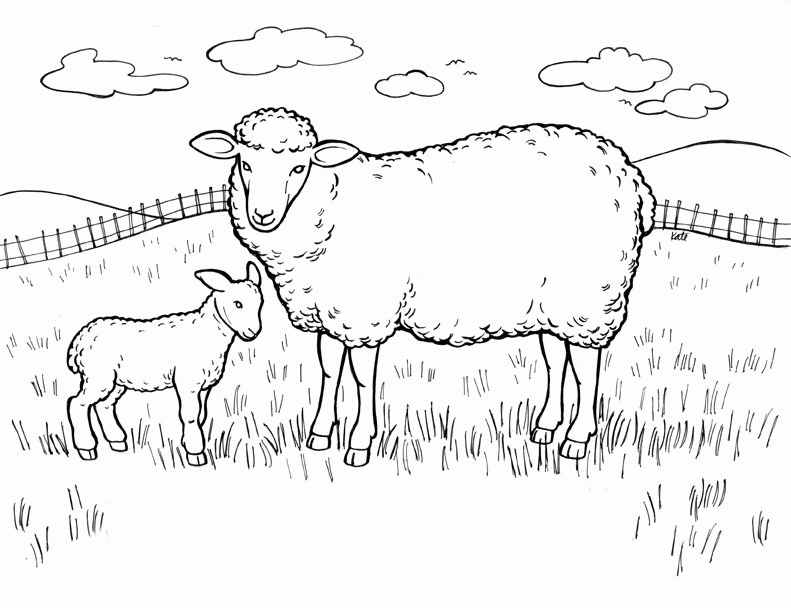 Tranh tô màu con cừu trên thảo nguyên xanh