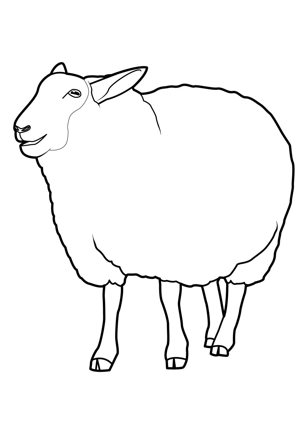 Tranh tô màu con cừu với bộ lông dày đặc